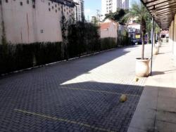 Terreno para Locação em São Paulo - 5