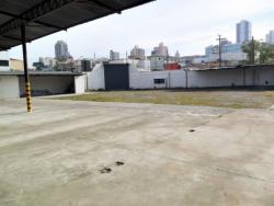 Galpão para Locação em São Paulo - 3