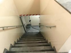 Galpão para Locação em São Paulo - 4