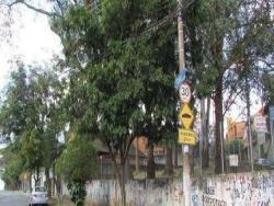 Terreno para Venda em São Paulo - 4