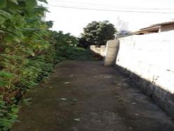 #TE0249 - Terreno para Venda em São Paulo - SP - 3