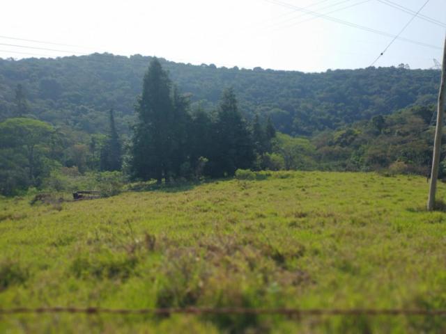 Área para Venda em Mairiporã - 4