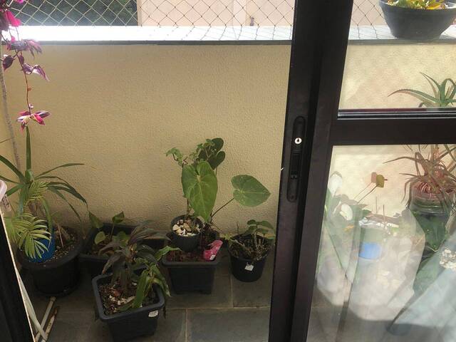 Apartamento para Venda em São Paulo - 5