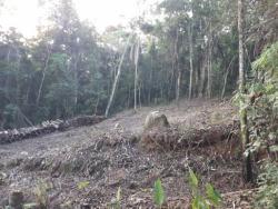 Terreno para Venda em Mairiporã - 4