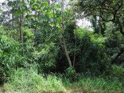 #TE0258 - Terreno para Venda em São Paulo - SP - 3