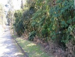 #TE0274 - Terreno para Venda em Mairiporã - SP - 3