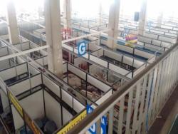 Galpão para Venda em São Paulo - 5